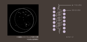 コテ巻き風パーマとヘリックスショット